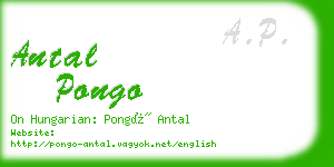 antal pongo business card